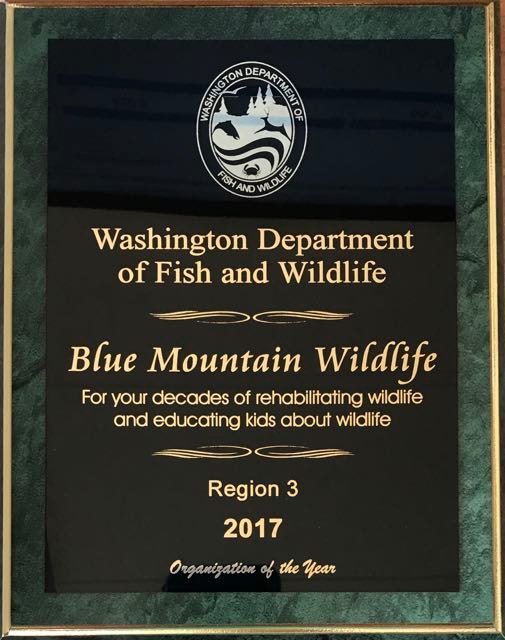WDFW 2017 Award