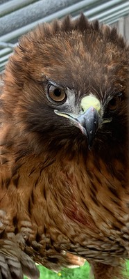 11CFD4C3-84B7-4FC9-96B1-CFB1DD7BE97F