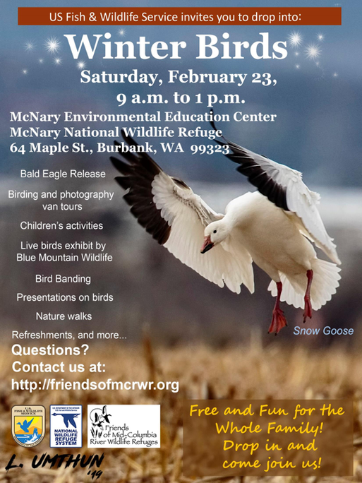 2019 Winter Birds Poster