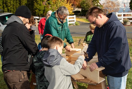 20191026 6 NestBoxes