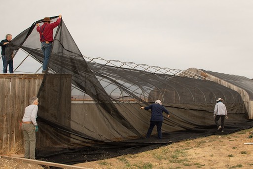 2021 09 22 Shade cloth 1