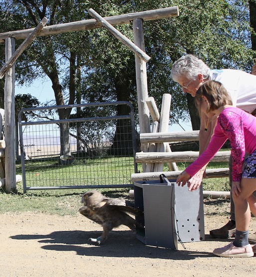 2021 09 25 GHOW release 1