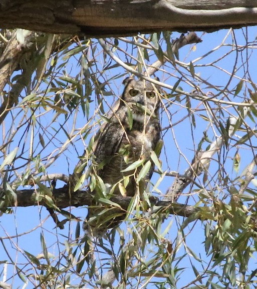 2021 09 25 GHOW release 2