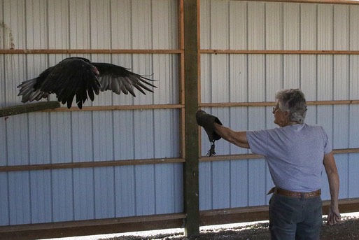 2021 10 16 TV 1 Darrel