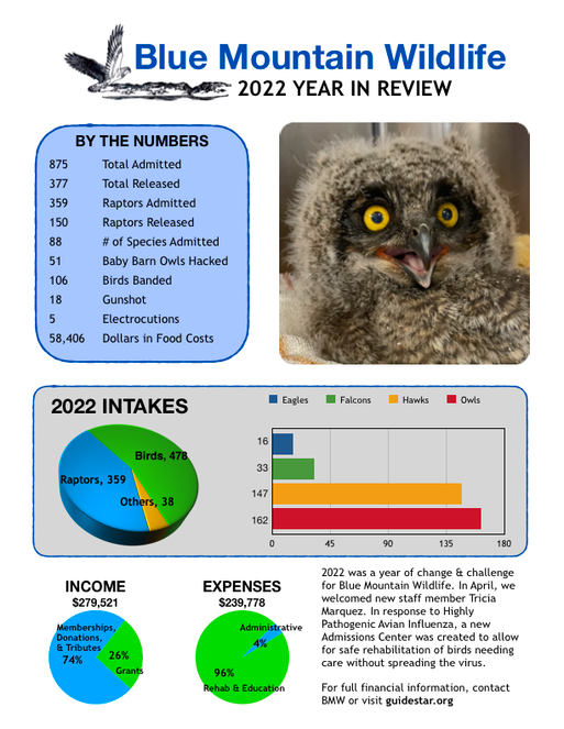 2022 Year in Review