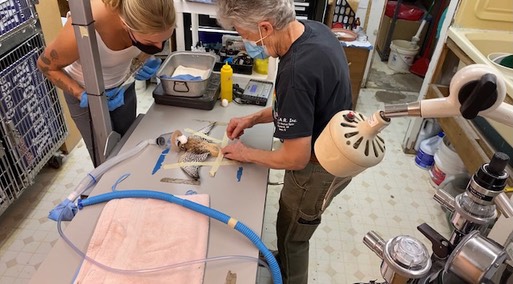 39151F16-6861-41F3-B129-F92F25B8D985