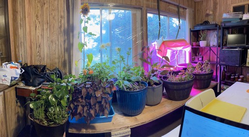 40027976-BE1B-4AE2-8C40-817E07156A81