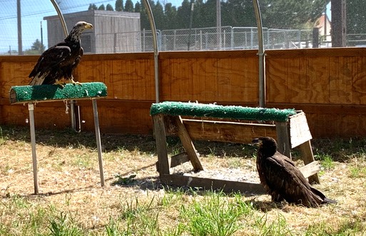 5CC79A3C-D71D-4843-A1F0-72127995AE99