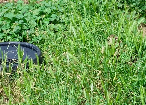 5EC87B88-011E-4303-9312-2DA1ACFC1DB9