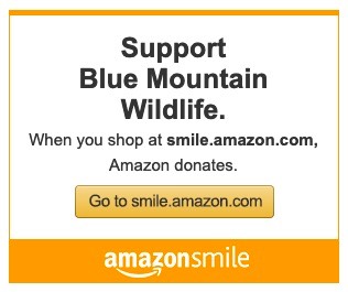 Amazonsmile