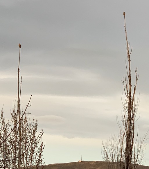 AMKE Social Distance