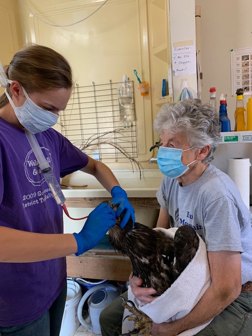 BAEA & Wearing masks