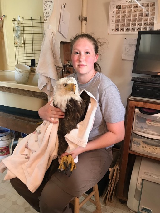 BAEA 19-247 & Taylor