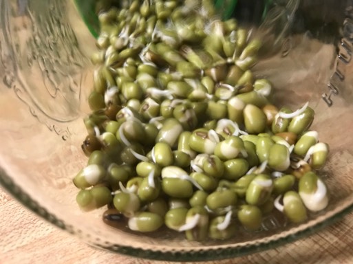 bean sprouts