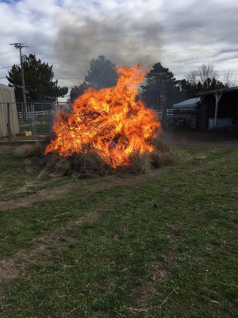 Burning tumbleweeds