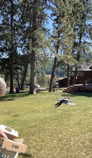 C8D17CFD-7B7B-4F95-9BBD-A983A2E8E6A5