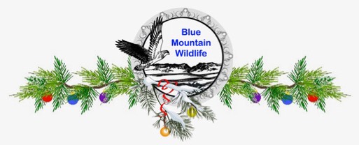 Christmas Banner logo copy.001 (1)