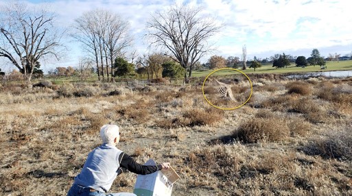 COHA 20-600 release.001