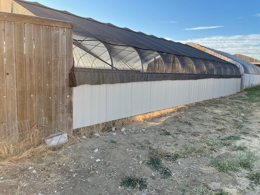 Completed Scavenger Pen