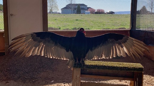 Darrel enjoing the sun