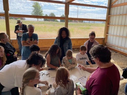 Dissecting Owl Pellets