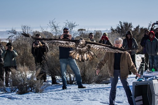 Don Sommer BAEA photo