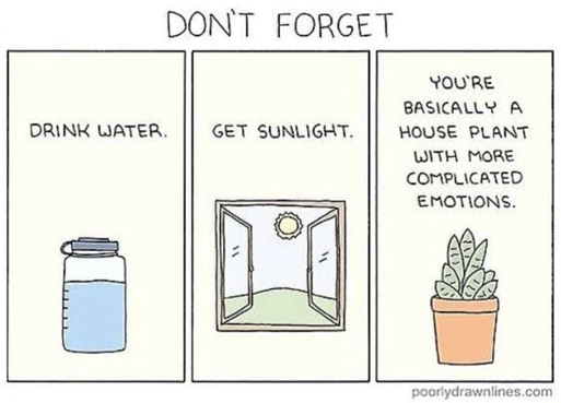 Don't Forget cartoon