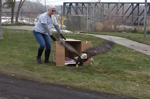 Eagle Releas Yakima Herald