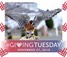 #GivingTuesday.001