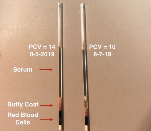 GOEA 19-406 PCV's.001
