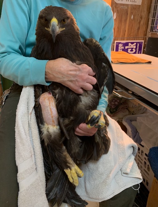 GOEA 20-001 pim removed