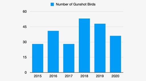 Gunshot Table.001 (2)