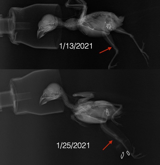 HOFI 21-007 rads.001