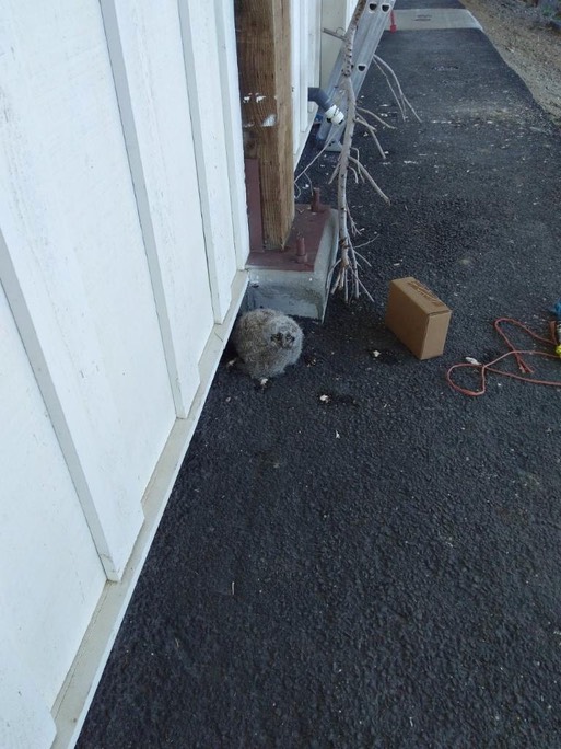 IMG952019050595105742254