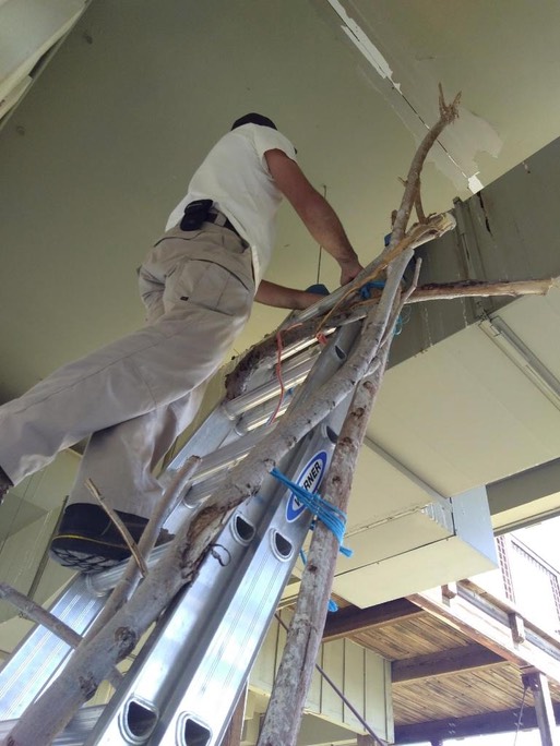 IMG952019050595110513328