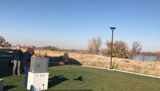 Janice & RTHA release