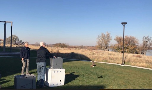 Janie & Kestrel release