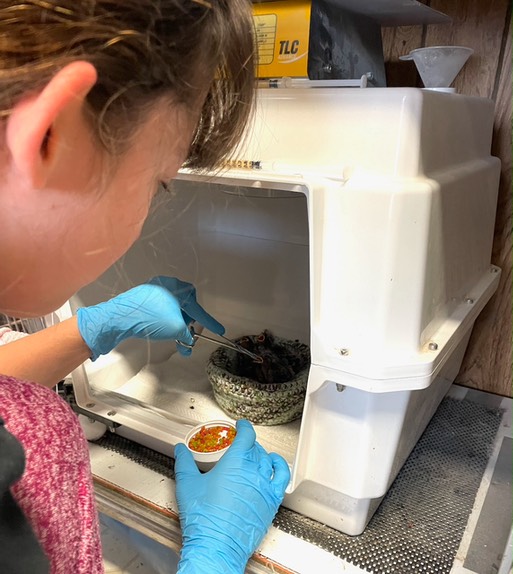 Jordan feeding HOFI's