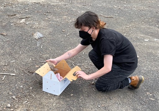 Jordan releasing finches