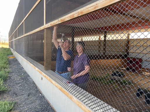 Ken  Kirsti installing cameras