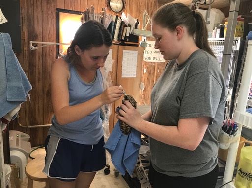 Kerry and Taylor & BUOW