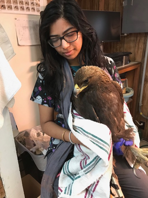 Lahari & GOEA 18-765