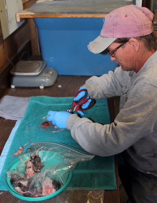 Michele slicing & dicing