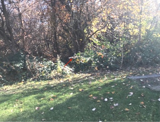 Mission Screech release.001