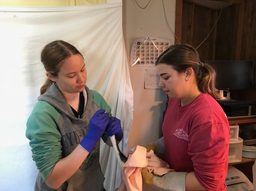 Nicole Grebe & Megan