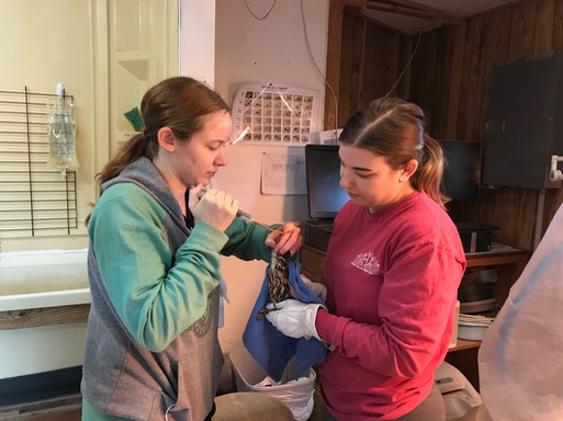 Nicole Merlin & Megan