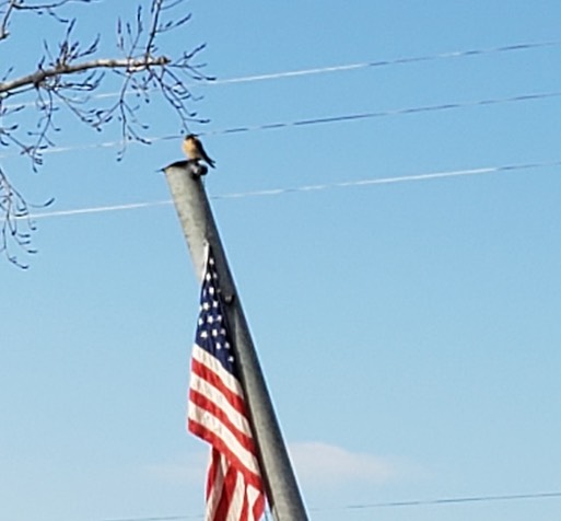 Resized 20220204 134703