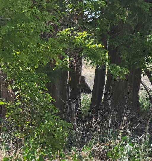 Resized Resized 20210526 170416 (1)