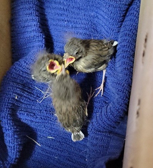 Resized_Resized_20210529_174554