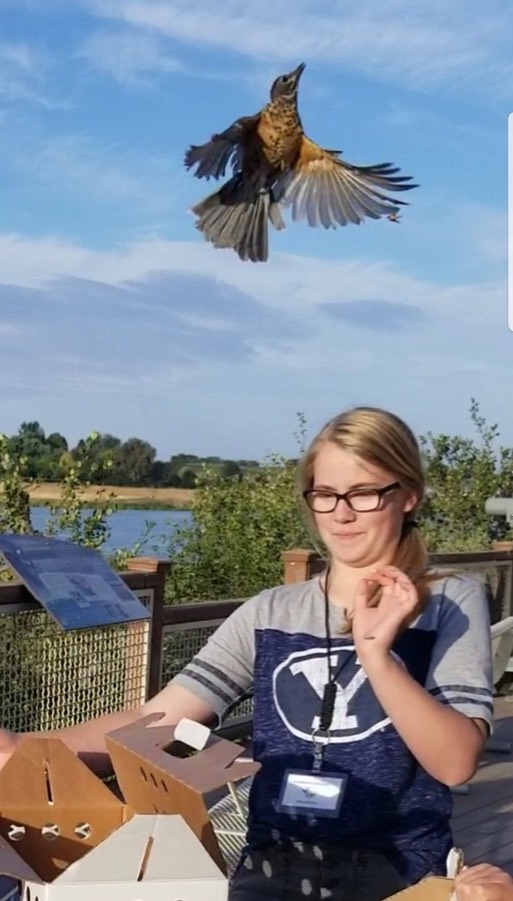 Screenshot 20190825-182343 Gallery